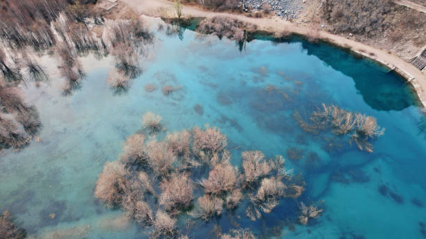 istock Turquoise blue mirror water with trees in the lake 1455880254