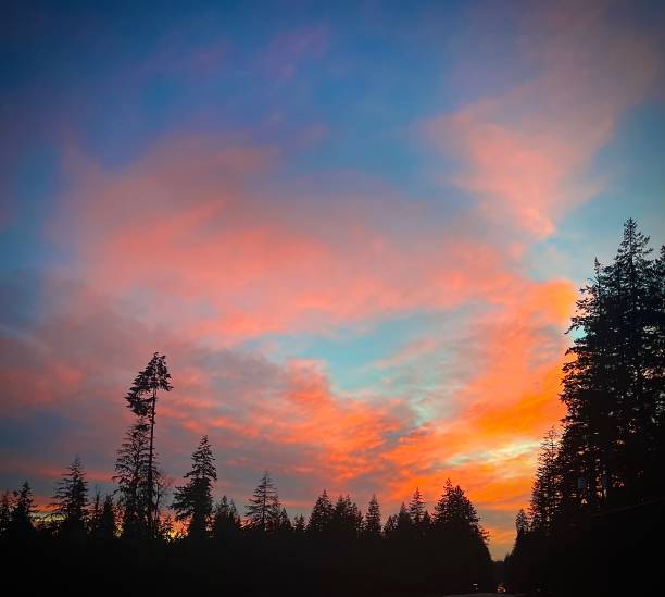 istock Sunset in Holly, Wa 1455882427