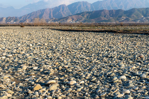 A close-up view of tidal mudflats, showcasing intricate natural patterns formed by water channels and sediment deposits. The textured surface displays shades of brown and white, emphasizing the interplay of water and earth in a coastal environment.
