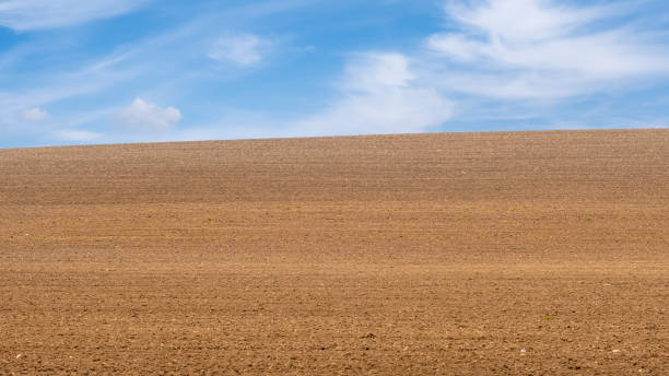 istock Uncultivated agriculture field and plowed field with sky 1455894592