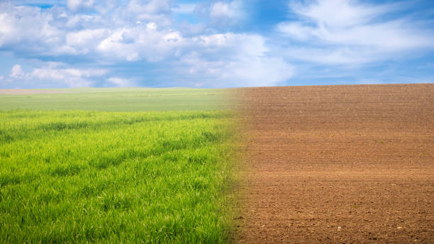 istock Cultivated and uncultivated agriculture fields and clouds 1455894614