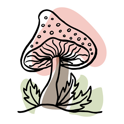 Mushrooms in the forest. Hand drawn. Isolated on whine. Vector illustration