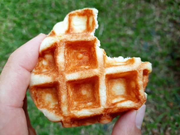 istock Hand holding bitten Waffle - green background. 1455901168