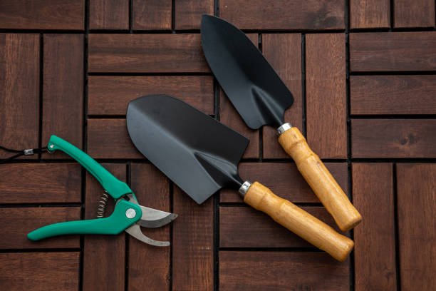 istock Gardening tools top view on wooden deck background 1455901418