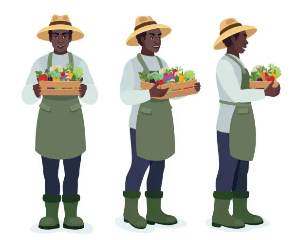 Vector illustration of African American farmer holding  a crate of bio vegetables .  Different poses design.