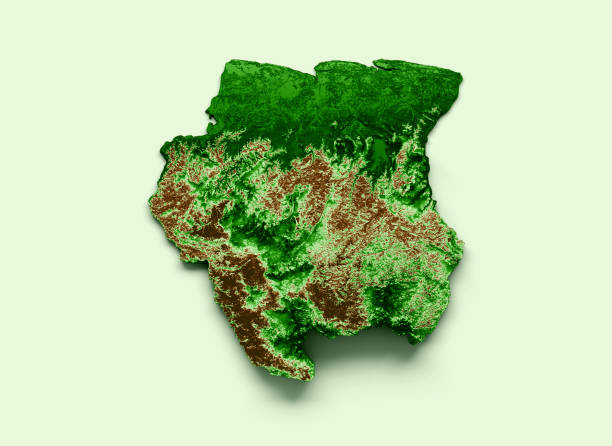 istock Suriname Topographic Map 3d realistic map Color 3d illustration 1455904134