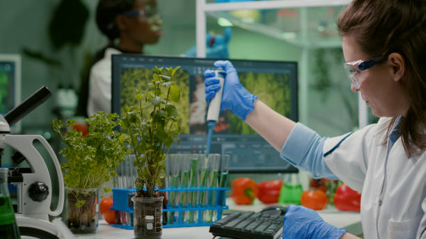 istock Biologist researcher using micropipette putting genetic solution in test tube 1455906830