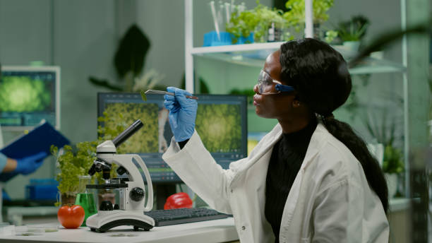 istock Pharmaceutical woman looking at organic leaf sample 1455907713