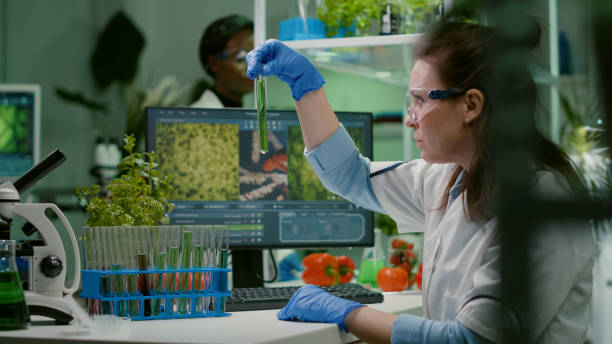 istock Biochemistry doctor examining chemical test under microscope 1455907829