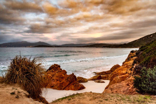 istock littoral de Corse du sud 1455907851