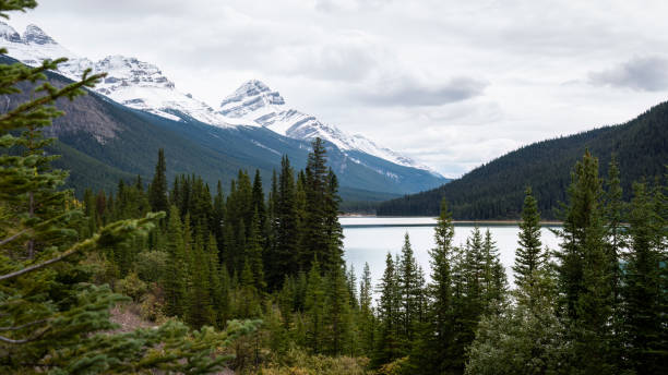 istock Snow-capped mountains and lake along Icefields parkway, Alberta, Canada. 1455907988