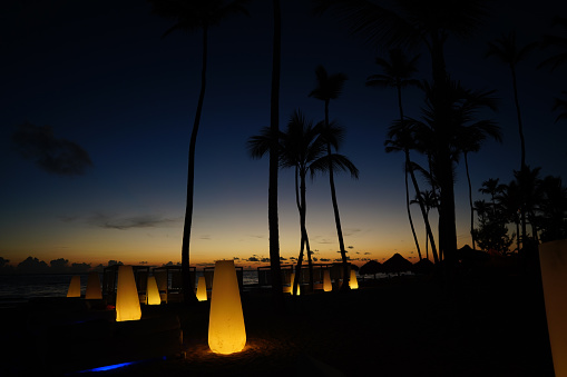 A view of a sandy beach in the evening palm trees in the pale light of lamps