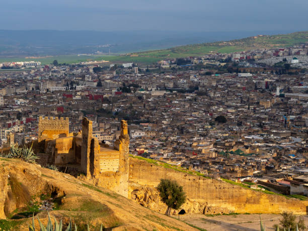 istock Ancient building with town houses on the background 1455916160