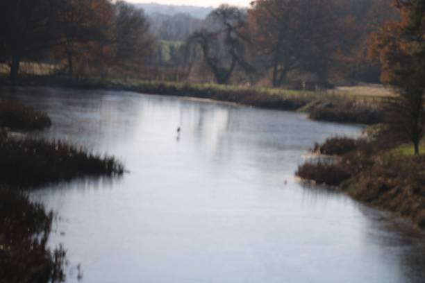 istock Beautiful shot of a lake between autumn-colored trees and fields 1455917177