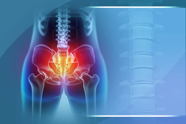 istock Hip painful skeleton x-ray. Medical concept. 3d illustration 1455917616