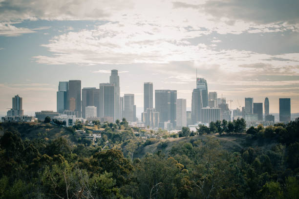 istock Beautiful view of downtown L.A from Elysian Park 1455917792