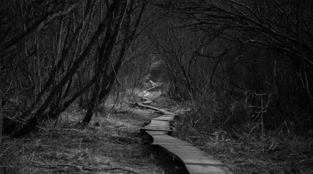 A grayscale shot of a walkway in the forest