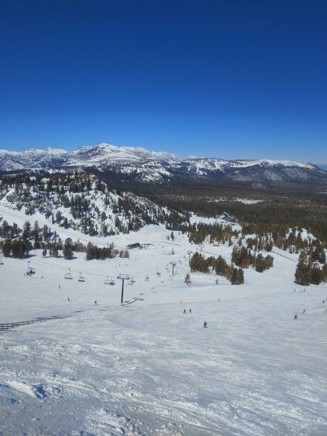 istock Vertical view of a ski resort mountain under a blue sky 1455918077
