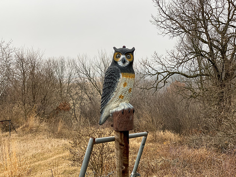 An old owl statue in a field of dry grass surrounded by trees