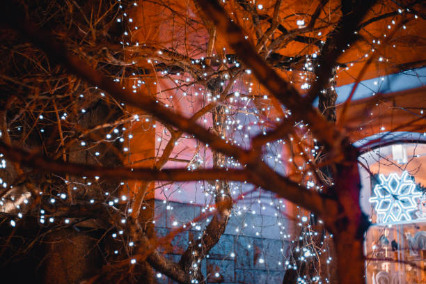 istock Beautiful view of Christmas decorations with string lights on a tree 1455921093