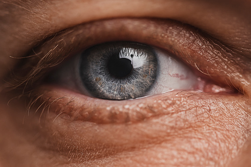 Eye Macro skin and face detail
Photo taken in studio of mature adult man in his mid 40s