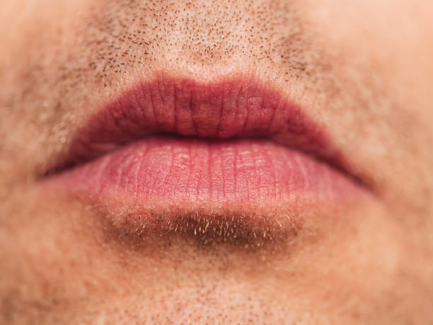 Mouth - macro skin face detail with wrinkles on mature man Macro skin and face detail
Photo taken in studio of mature adult man in his mid 40s closed mouth stock pictures, royalty-free photos & images