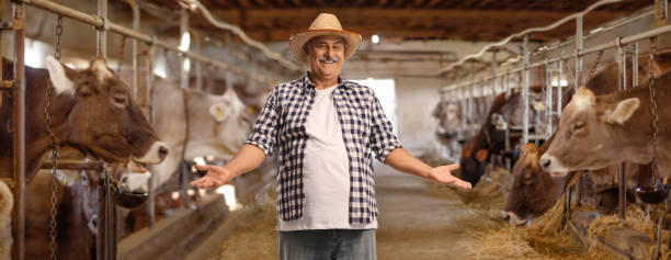 istock Farmer with a straw hat posing in a cowshed 1455922405