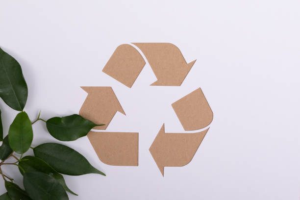 istock Recycling symbol and plant leaves on a white background 1455922614