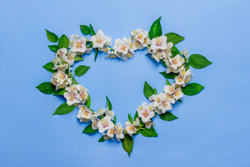 White jasmine flowers in the shape of a heart.Floral greeting card. For the wedding, birthday, or other celebration.Top view.