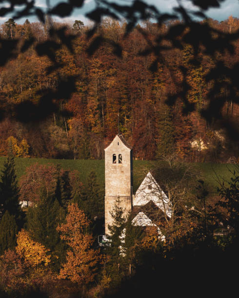 istock Vertical shot of an old tower building in the forest 1455926462