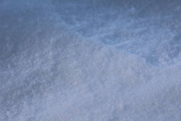 istock Closeup shot of fresh show with shadows cast on it 1455926946