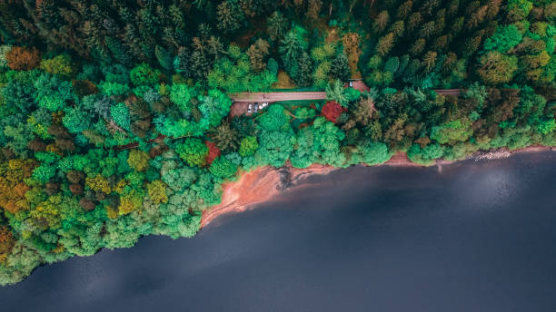 istock Bird's eye view of the road passing through the forest. 1455927377