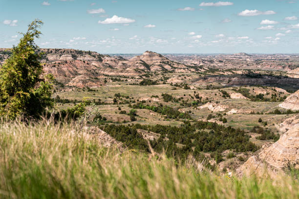 istock Mountainous rural landscape on a sunny day 1455927393
