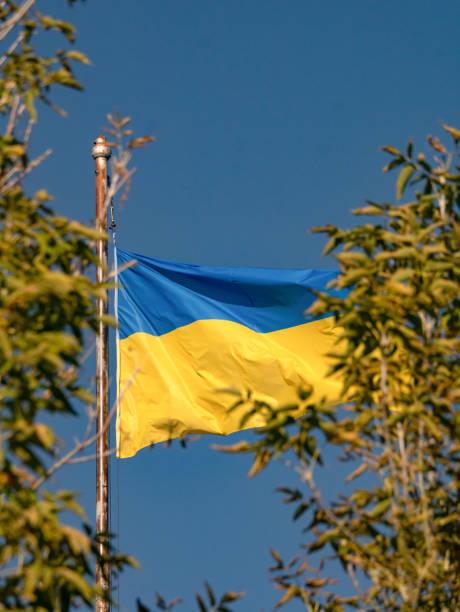 istock View of Ukraine flag from trees under the blue sky 1455927550