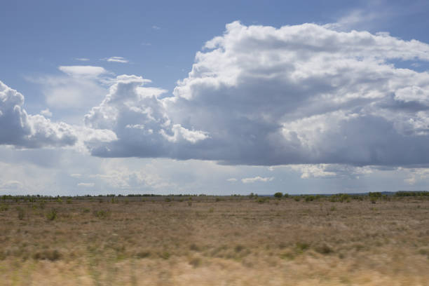 Bright early spring landscape with fluffy clouds in blue sky with sunbeams abow steppe pasture with dry plants in motion. Beautiful outdoors nature.
