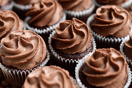 A closeup shot of the delicious chocolate cupcakes