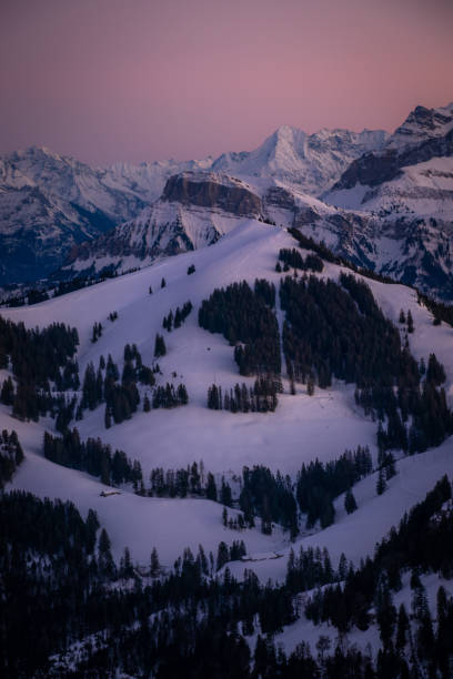 istock Purple snow in the mountains 1455929356