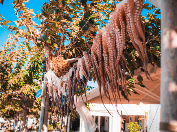 Closeup of octopuses hanging in Paros island, Greece A closeup of octopuses hanging in Paros island, Greece paros stock pictures, royalty-free photos & images