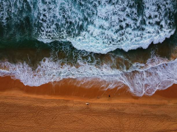 istock Aerial view of the seashore on a sunny day 1455930213