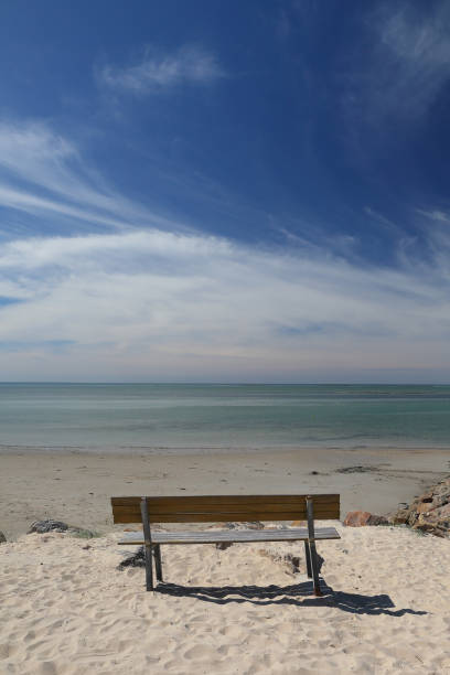 istock Closeup of a sandy beach in the daylight 1455930305