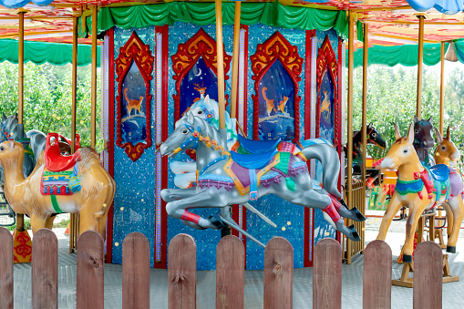 Carousel with colorful horses at amusement park, Merry go round with horse, Vintage ride attraction for children