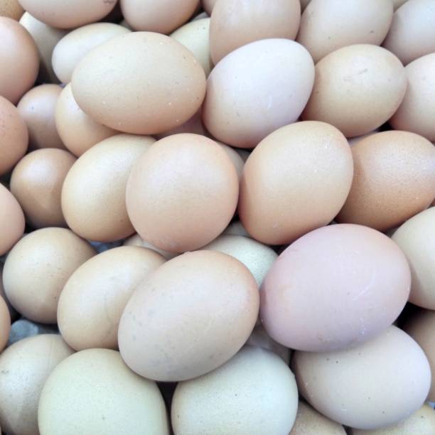 istock Fresh chicken eggs in the market 1455930953