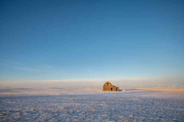 istock Old barn in a winter field in Alberta, Canada with blue sky. 1455931033