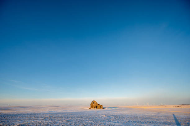 カナダのアルバータ州の冬の野原にある古い納屋で、青い空。 - snow horizon winter shed ストックフォトと画像