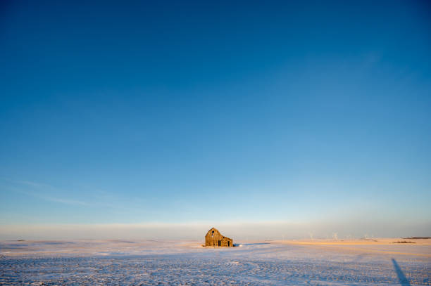 istock Old barn in a winter field in Alberta, Canada with blue sky. 1455931041