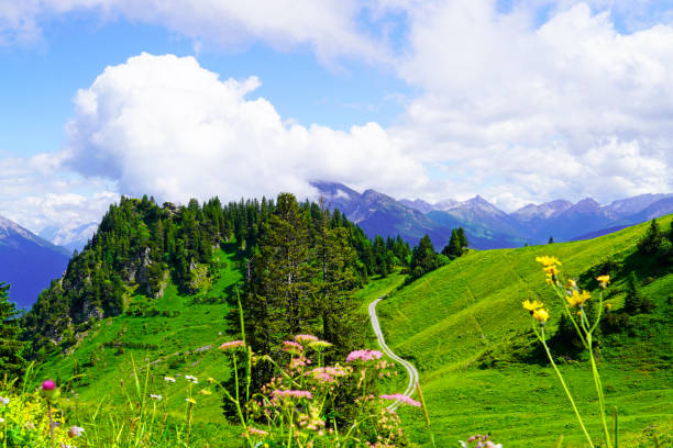 bellissimo scatto del campo verde con una foresta con la montagna sullo sfondo in hahnenkamm - hahnenkamm foto e immagini stock