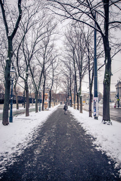 istock Beautiful view of a snowy trail 1455933189
