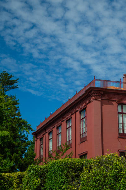 istock Closeup of a pink house with cloudy sky background 1455933507
