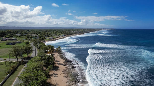 istock Mesmerizing view of a beach in Puerto Rico 1455934274