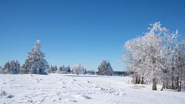 A panoramic landscape image of Kahler Asten in Sauerland, Germany, during winter